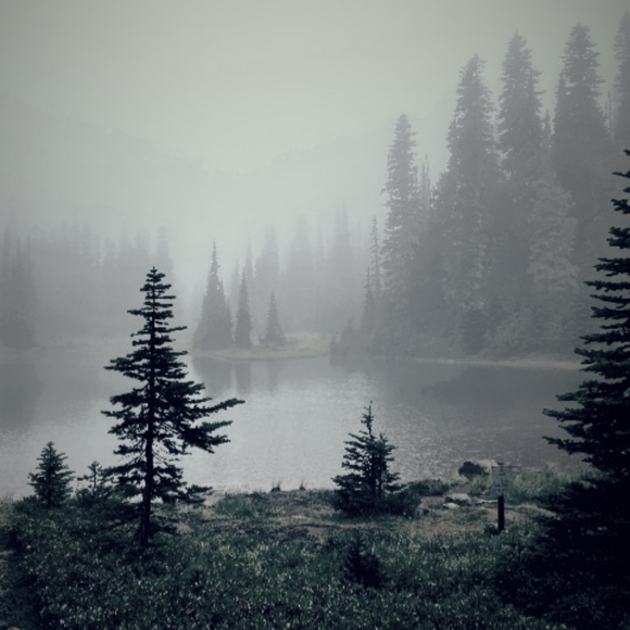 Thank you, Poshers! 🤙 - Picture 8 of 9